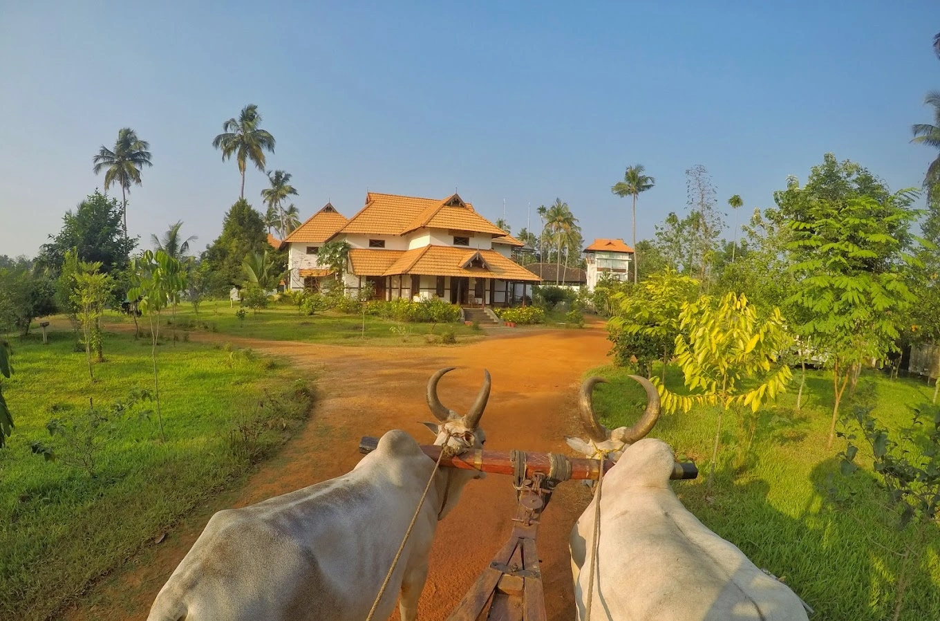 Rasa Gurukul, Chalakudy